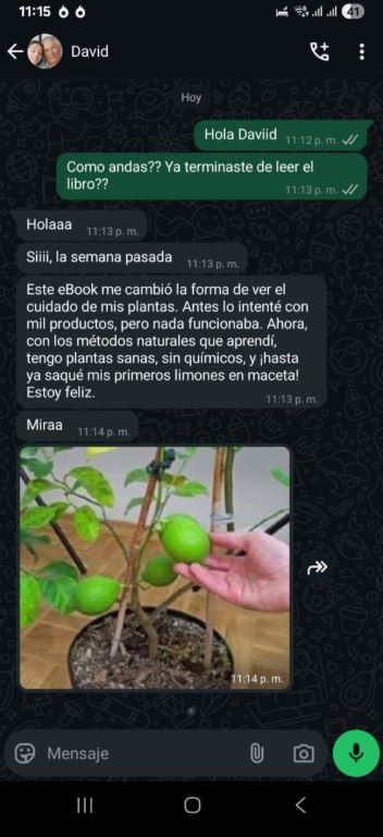 Testimonio real de David por WhatsApp