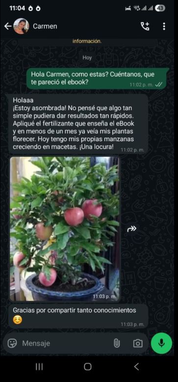 Testimonio real de Carmen por WhatsApp