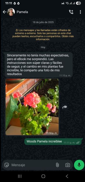 Testimonio real de Pamela por WhatsApp